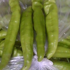 山东禹城黄剑辣椒火热上市