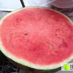 2015大荔西瓜抓住商机无限