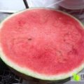 2015大荔西瓜抓住商机无限