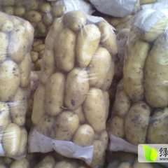 平度南村王丽萍6月荷兰十五土豆