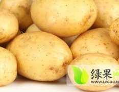 凌海-土豆-火爆-上市