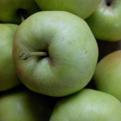 山西临猗普通苹果口感爽口
