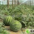 凌海市右卫镇四海代办欢迎您的到来