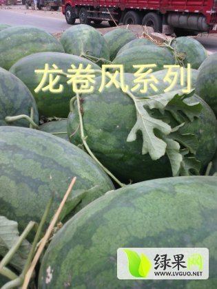 2015年河南开封龙卷风价格