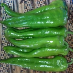 安泽辣椒著名品牌冀氏姜先生诚信合作