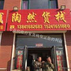 辽宁黑山普罗旺斯西红柿早买早赚