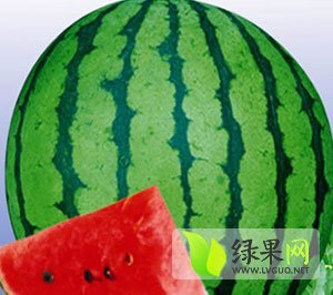 2015年河南睢阳京欣价格