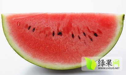金城5号价格