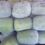 莘县董杜王道奎6月铁冠军冬瓜