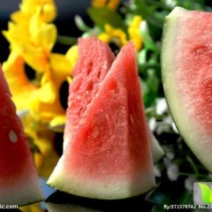 阜城西瓜欢迎合作,漫河亚先生诚信合作