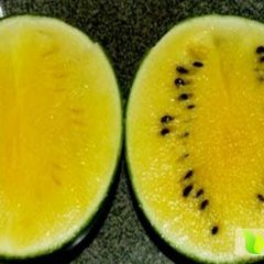 温岭西瓜香甜可口,箬横江老四诚信合作