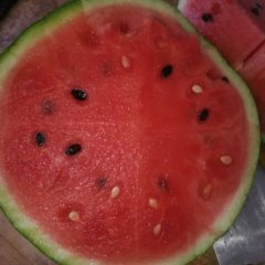 清苑西瓜何去何从,南王王先生诚信合作