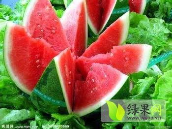2015年河南睢阳京欣价格
