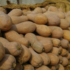 嘉鱼南瓜,潘家邓自发