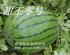 甜王系列价格