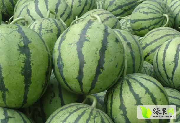 2015年山东东昌府京欣价格