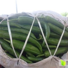 湖南君山久久王辣椒火爆招商中