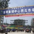 2015东明西瓜走过路过不要错过