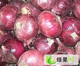 山东惠民红皮洋葱是名优特产