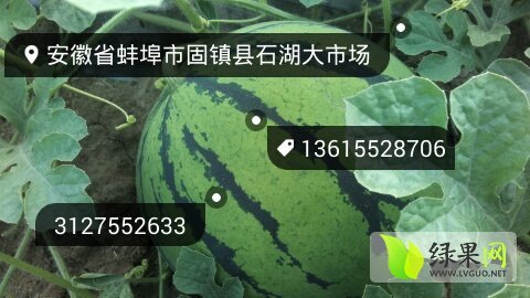 2015年安徽固镇京欣价格