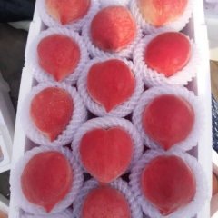 大荔渭南周建忠6月郑三蜜桃