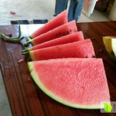 陕西大荔甜王系列西瓜上货量大