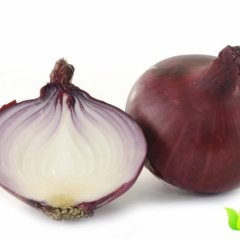 岱岳洋葱价格行情平稳范镇赵治平诚信合作