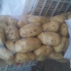 安丘土豆何去何从,兴安刘永军诚信合作