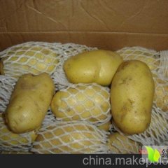 2015新乐土豆值得出手