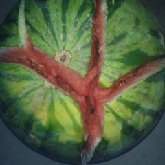 2015清苑西瓜值得出手