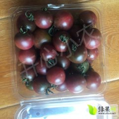 2016建水有机黑番茄畅销大江南北