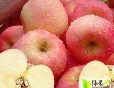 桂林五里店果蔬批发市场常年供应大量苹果