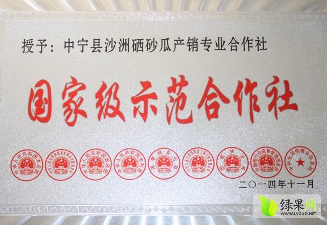 2015年宁夏中宁硒砂瓜价格