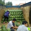 芝麻洼乡镇最大最有信任知名度的政府机构代办