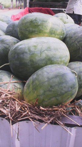 龙卷风价格