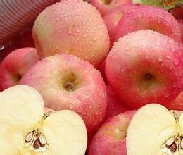 山东潍坊嘎啦苹果 嘎啦大量上市