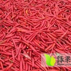 忻府辣椒逐渐升温,开发常虎诚信合作