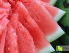 花皮无籽现已上市