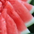 花皮无籽现已上市