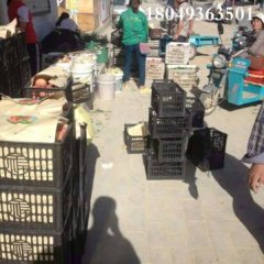 大荔蜜桃著名品牌,范家张小虎诚信合作