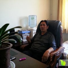 会宁西瓜长势旺盛郭城赵论章诚信合作