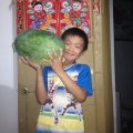 东明西瓜口感好 京欣，冠龙，新红宝等等