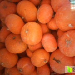 山东平度兰底南瓜逐渐升温