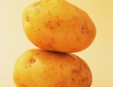 丰台马铃薯种薯聚焦市场北京张金正诚信合作