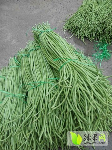 2016年河南开封优豇一号价格