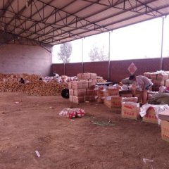 平度郭庄荷兰十五要货抓紧