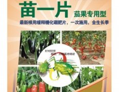 大兴肥料著名品牌,凯驰王铭泰诚信合作
