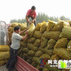 大荔范家党力康7月青皮核桃
