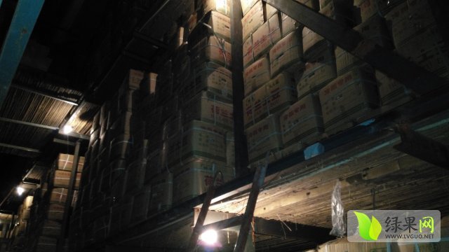 2015年山东滕州荷兰十五价格