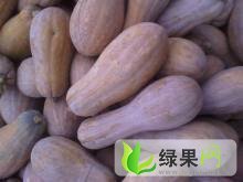 湖南君山金韩密本南瓜价格适宜